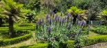 Plants: image 66 Of 208 Thumb
